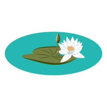 Water lily vector on the water with leaf and flower buds Illustrazione stock