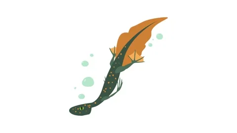 Water lizard icon animation Stock Footage 168928086