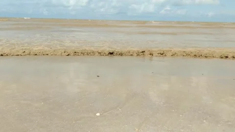 The water looks murky on the beach Stock Footage 325685533