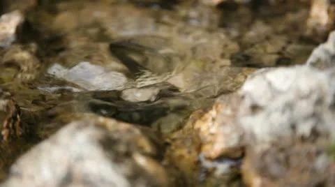 Water Macro Stock Footage 10723846