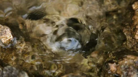 Water Macro Stock Footage 10734516
