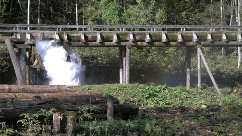 Water man made flow for timber transportation Video stock 81436787