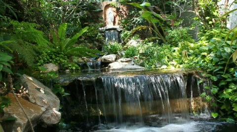 Water Mary 스톡 동영상 649891