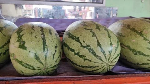 Water melon fruit Foto stock