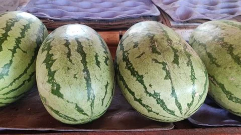 Water melon fruit Foto stock