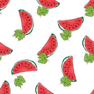 Water Melon Hand drawn Seamless Pattern Vector Illustration. 库存插图
