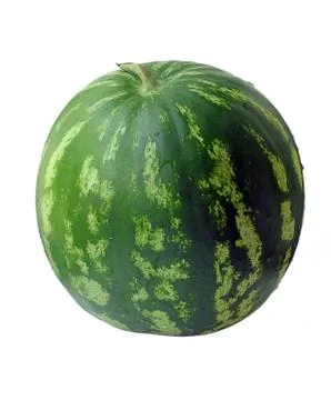 Water melon Stock Photos