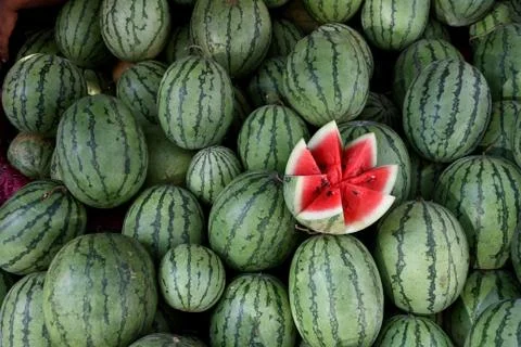 Water melon Stock Photos