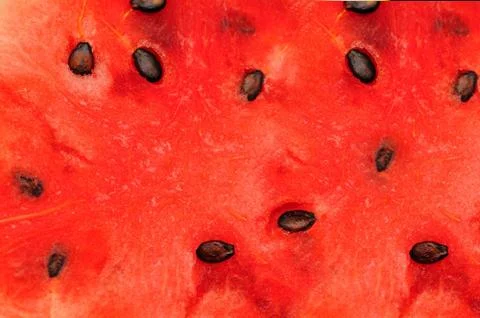 Water melon Stock Photos