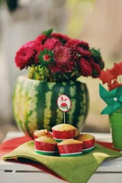 Water-melon Stock Photos