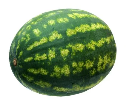 Water melon Stock Photos