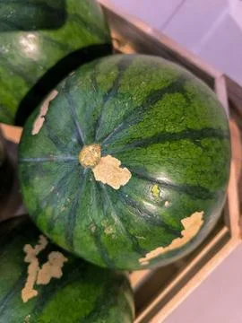 Water melon Foto stock