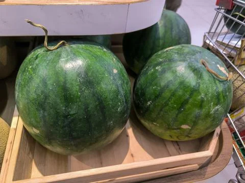 Water melon 스톡 사진