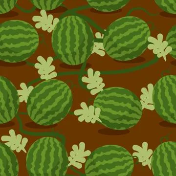 Water-melon plantation seamless pattern. Fruity vector background. Texture pl Stock Illustration