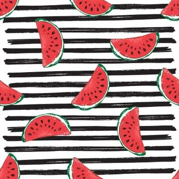 Water Melon Seamless Pattern Striped Vector Illustration. 库存插图