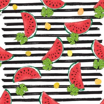 Water Melon Seamless Pattern Striped Vector Illustration. 库存插图