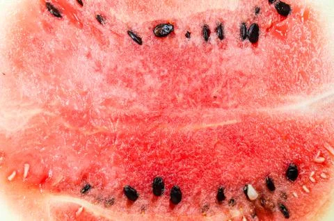 Water melon slice Stock Photos