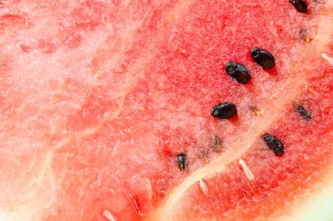 Water melon slice Stock Photos