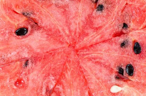 Water melon slice Stock Photos