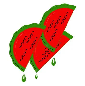 Water Melon slices Vector drawing on a white background Illustration