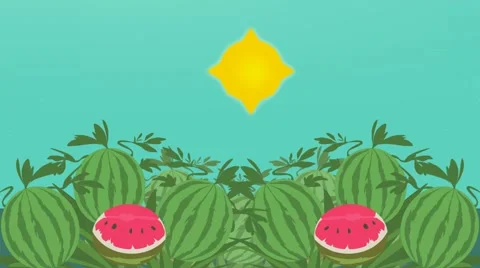 Water melon - Vector Animation - Photosynthesis Stock Footage 60782474