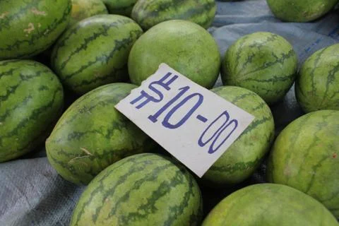 Water melons Stock Photos