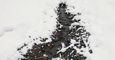 Water from melted snow flows through the forest 库存影片 235228269