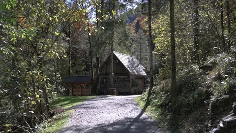 Water mill back view in the forest with tilt up camera Video stock 81438999