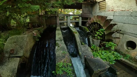 Water mill in the forest Stock Footage 253936431