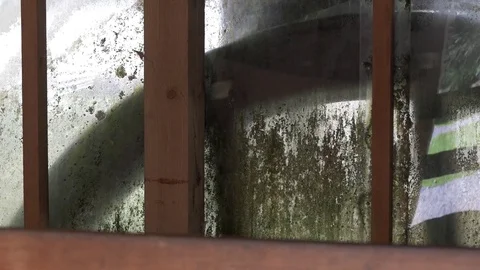 Water mill huge wheel process Video stock 81436487