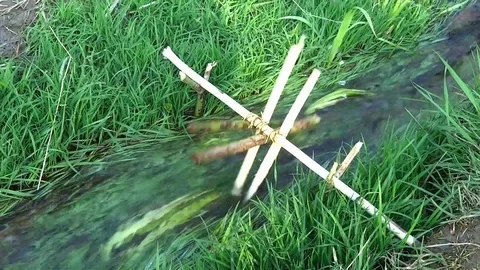 Water Mill in stream Stock Footage 107773024