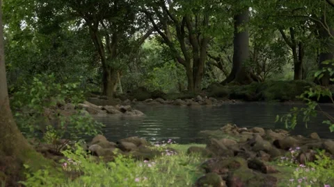 Water mirror in the forest Stock Footage 327480038