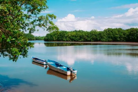 The water mirror Stockfoto's