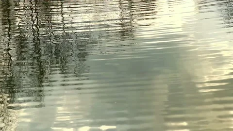 Water Mirror Reflection Vídeos de archivo 238609270