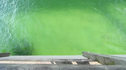 Water - with Mole from Harbor Stock Footage 12738979