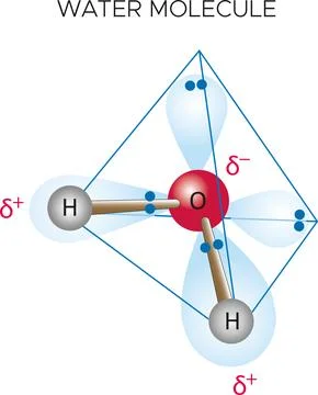 Water molecule Stock Illustration