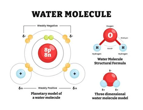 Water molecule structure diagram vector illustration. Hydrogen and Oxygen m.. Stock Illustration