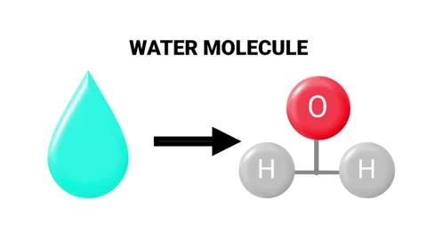 Water Molecule Structure Educational Science Graphic Stock Footage 335668034