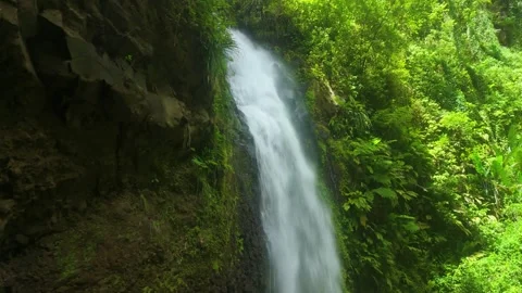Water on a mossy basalt chute, Didier gorge Stock Footage 346111012