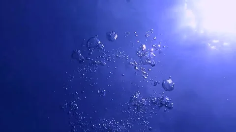 Water Motion Creates Mesmerizing Patterns in a Clear Blue Pool During the Bright Stock Footage 316166364