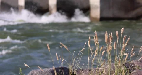 Water in motion at a dam 库存影片 247448331