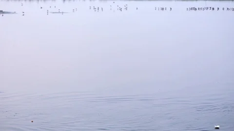 Water motion Stock Footage 125327305