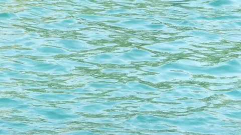 Water motion in the pool 스톡 동영상 89972443