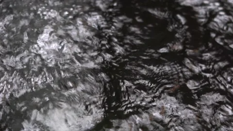 Water  motion reflection in the river during the day Stock Footage 205432111