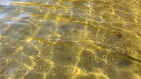 Water motion of sun highlights in shallow sandy beach bottom Stock Footage 304753784