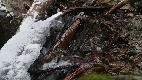 Water of mount stream runs between trees fallen down and covered with melting Stock Footage 169343322