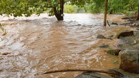 Water from mountain changes color after heavy rain. Video stock 80155338