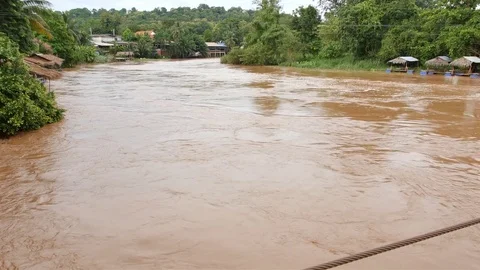 Water from mountain forests Stock Footage 80058888