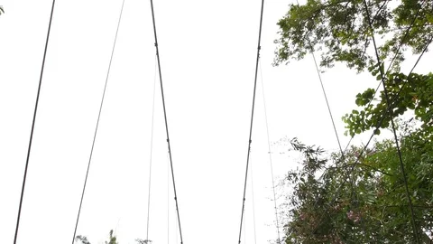 Water from mountain forests Stock Footage 80059243