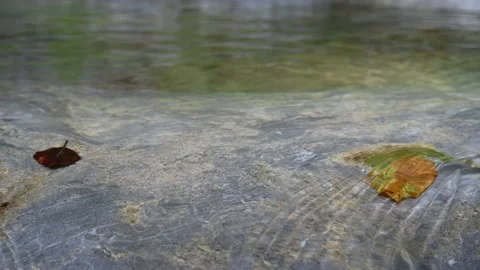Water of a mountain river creates optical effects while flowing over a leaf Stock-Footage 212739658